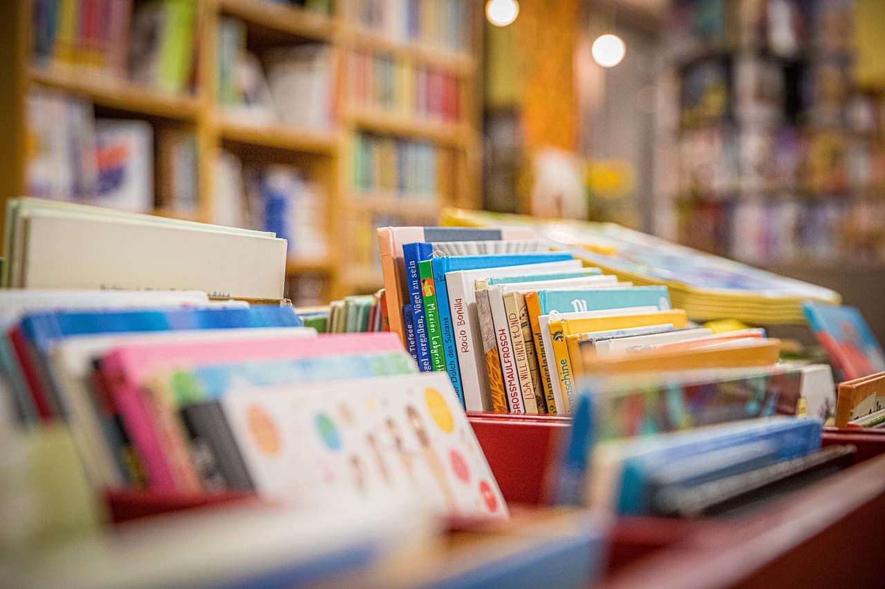 livres dans une librairie