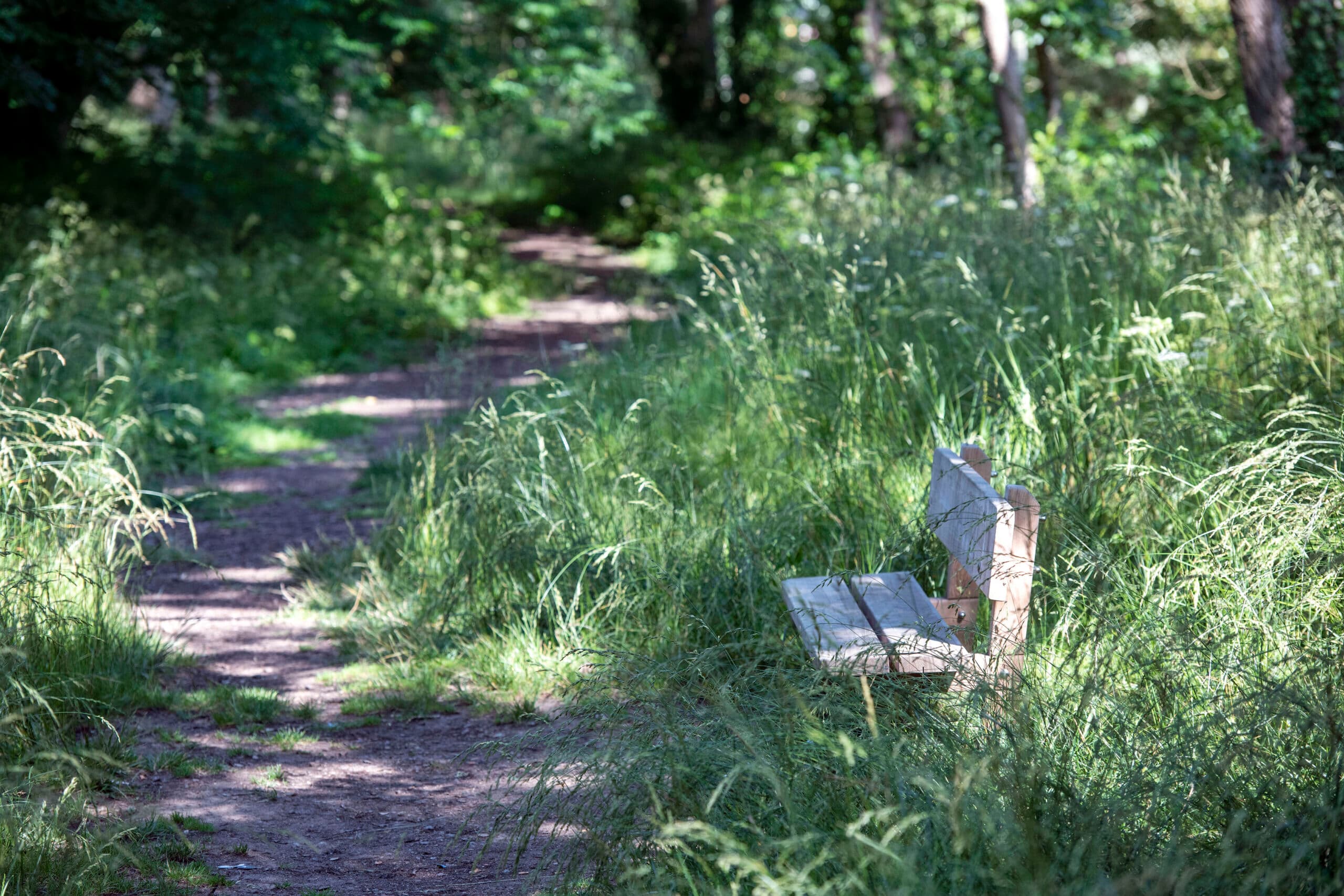 bois et parc de Quimper